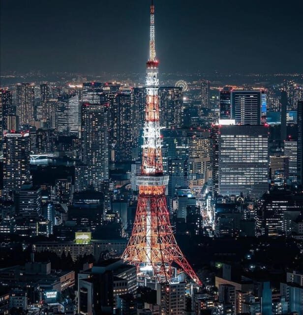 Tokyo Customizable Private Tour by Car & Van - Driver quality is the whole game: English, parking, and improvising