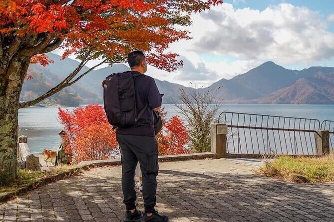 Tokyo: Customized Mt. Fuji & Hakone Sightseeing Private Day Trip - The Mt. Fuji Panoramic Ropeway: worth it if the views cooperate