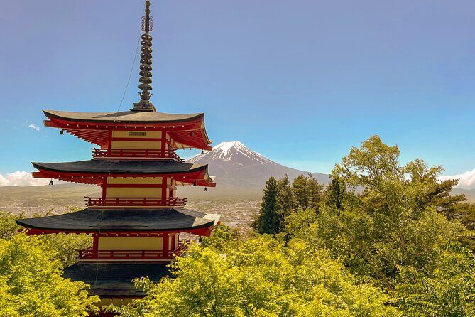 Tokyo: Customized Mt. Fuji & Hakone Sightseeing Private Day Trip - Price and logistics: what you’re really paying for