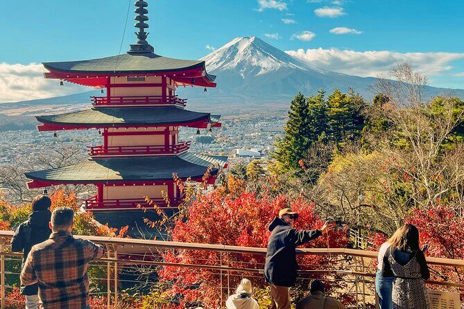 Tokyo: Customized Mt. Fuji & Hakone Sightseeing Private Day Trip - Comfort and guide help: punctual, communicative, and tuned to families
