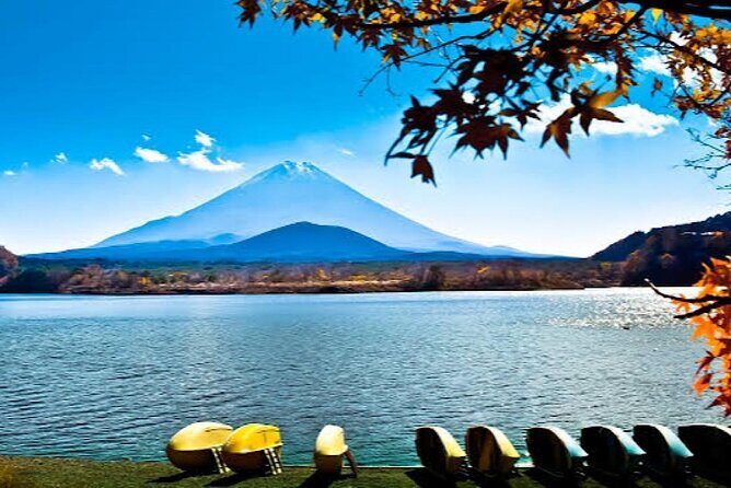 Tokyo: Customized Mt. Fuji & Hakone Sightseeing Private Day Trip - Customizing your route without losing the best stops