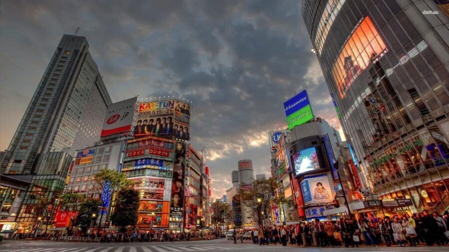 Tokyo: Customized Private Tour with a Local Guide - Shinjuku After Dark Energy: Kabukicho, Black-Market History, and Golden Gai