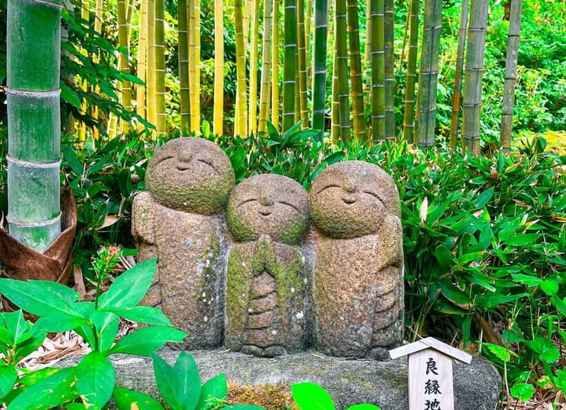 Tokyo: Day Trip to Kamakura in Spanish - Spanish - Riding the oldest-style tram to Hase-dera Temple