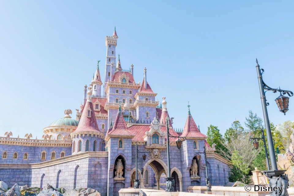 Tokyo Disneyland 1-Day Passport - Ride queues in real life: why waits can swing hard
