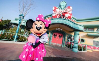 Tokyo DisneySea 1-Day Ticket & Private Transfer - What you get with this bundle: ticket + private car, not just a ride