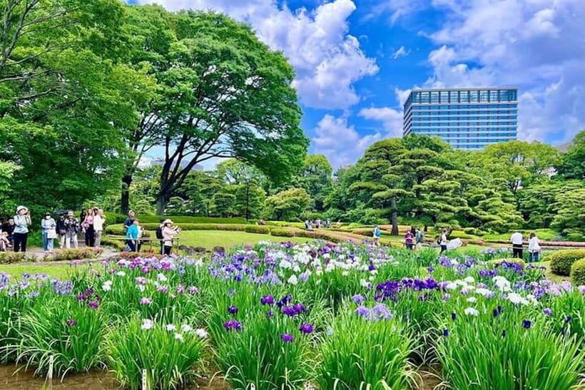 Tokyo, Edo Castle & East Garden of the Imperial Palace Tour - When East Garden is closed: planning around Mondays and Fridays