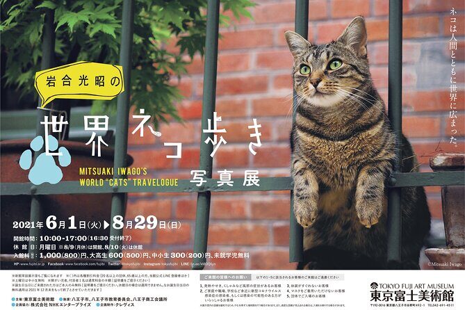 Tokyo Fuji Art Museum Admission Ticket + Special Exhibition (when being held) - Value Check: Why $5.27 Can Feel Like a Smart Deal