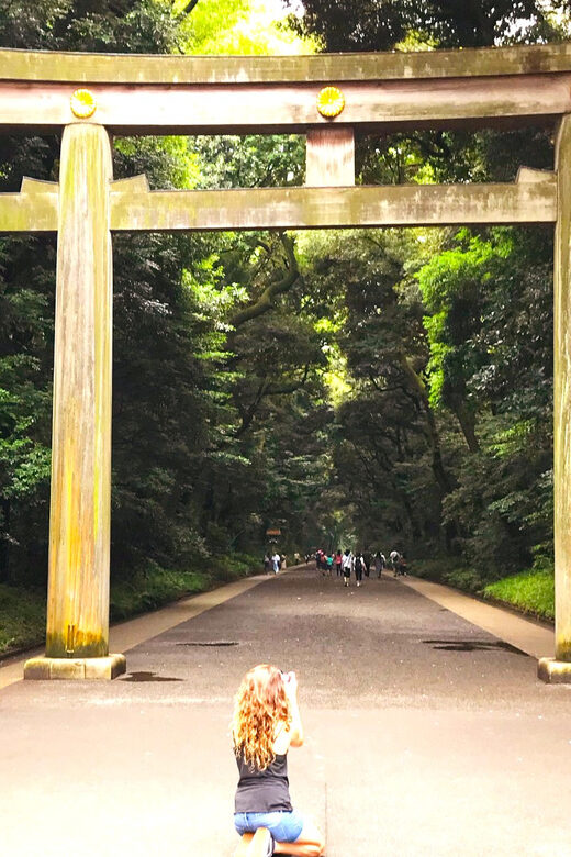 Tokyo: Full Course Tour: Explore 15 Must-Sees & Hidden Gems - Akihabara to Ueno: Pop Culture and Art Blocks