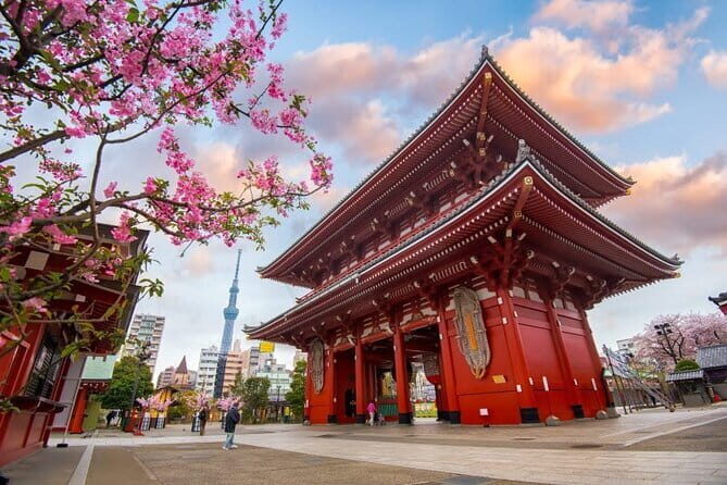 Tokyo Full Day Customize Private City Tour - Tsukiji Fish Market: what you get in an hour