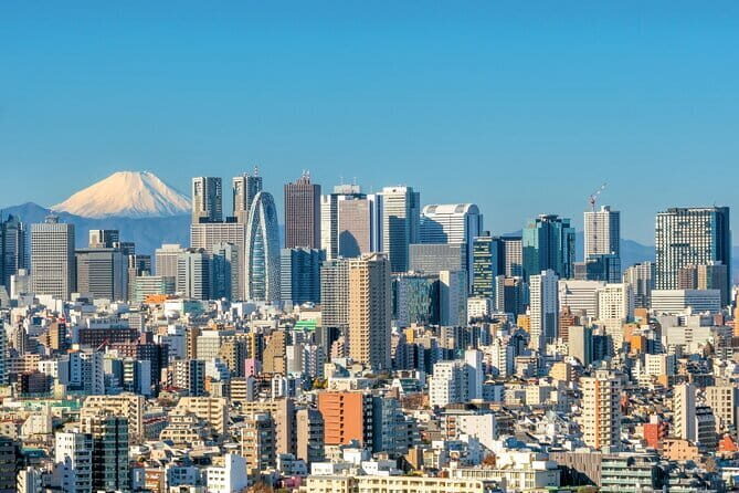 Tokyo Full Day Customize Private City Tour - Tokyo Skytree vs. Tokyo Tower: decide what skyline you want