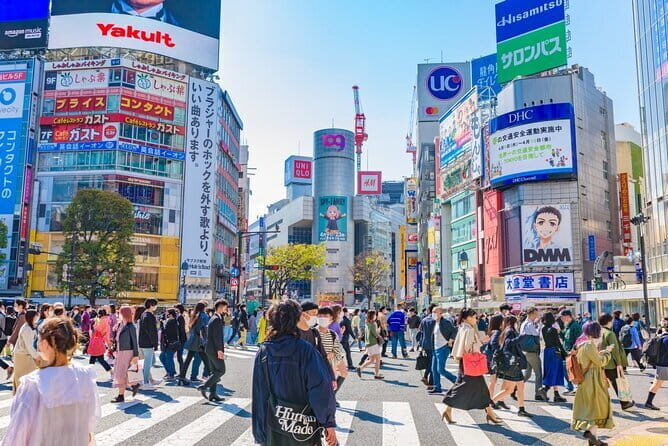 Tokyo Full Day Customize Private Tour with English Guide - Skytree: getting the skyline under control