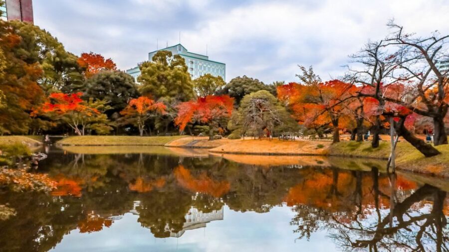Tokyo: Full-Day Japanese Garden Private Guided Tour - Imperial Palace Garden: a calm start with real Tokyo authority