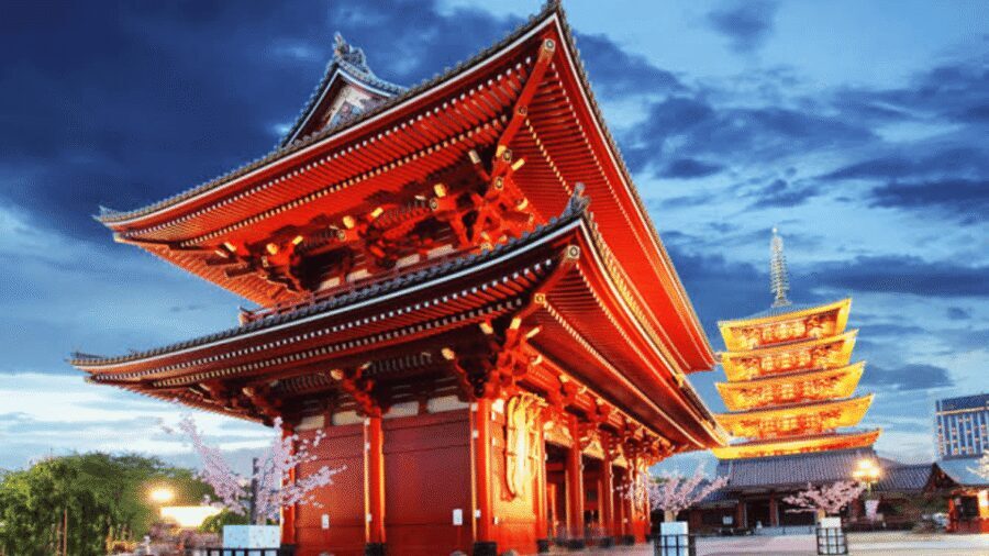 Tokyo Full day Private Customized Tour with English Driver - Key highlights at a glance