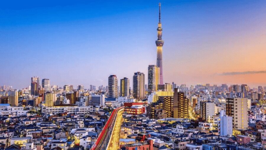 Tokyo Full day Private Customized Tour with English Driver - Private Tokyo comfort: what you’re really paying for