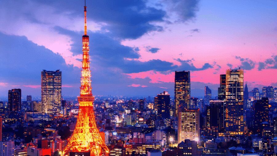 Tokyo Full day Private Customized Tour with English Driver - How the day flows: markets, temples, skyline, and the Tokyo you came for