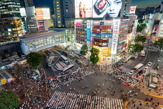 Tokyo Full-Day Private Tour (Customizable) - Imperial Palace East Gardens and Edo Castle Ruins