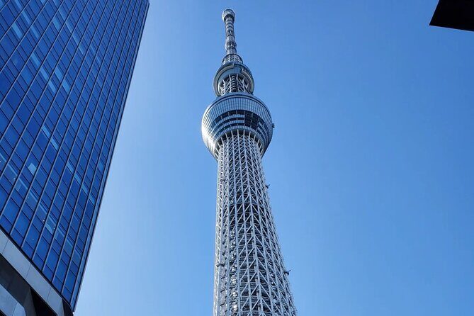 Tokyo Full-Day Private Tour (Customizable) - Tsukiji Fish Market: Modern Wholesale With a Real Show