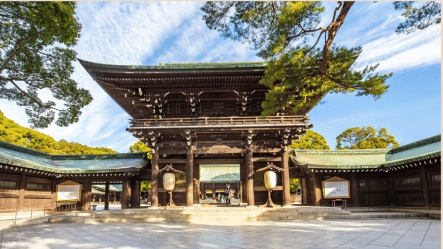 Tokyo full day private tour with Guide - Tsukiji Fish Market with a guided hour: what you can realistically do