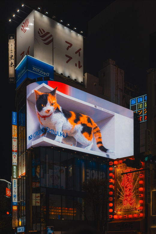 Tokyo full day Spanish speaking tour with hotel pick up and drop off. - Shinjuku: the first 3D display, Godzilla, and Kabukicho Tower