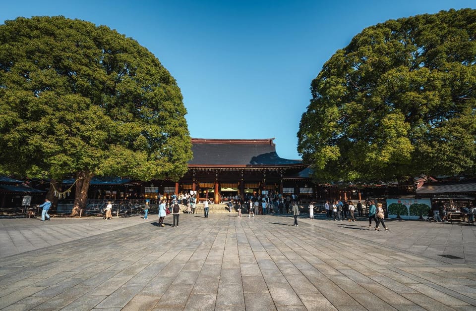 Tokyo full day Spanish speaking tour with hotel pick up and drop off. - The guide factor: Spanish help that actually makes the day easier