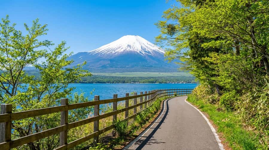 Tokyo: Full-Day Tour of the Six Majestic Spots of Mt Fuji - Key highlights you’ll actually care about