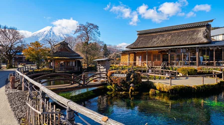 Tokyo: Full-Day Tour of the Six Majestic Spots of Mt Fuji - Oishi Park: plan your season for flowers and Fuji framing