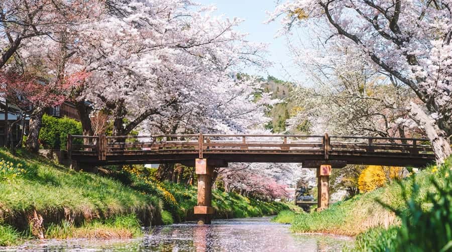 Tokyo: Full-Day Tour of the Six Majestic Spots of Mt Fuji - Getting from stop to stop: comfort, guide style, and one small warning