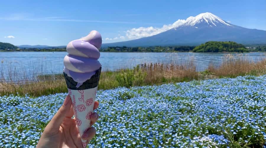 Tokyo: Full-Day Tour of the Six Majestic Spots of Mt Fuji - Food, timing, and what you need to bring