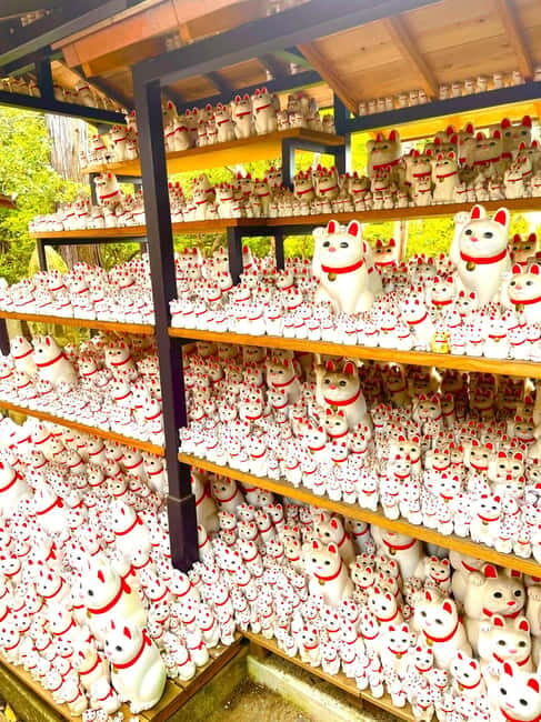Tokyo: Gotokuji Cat Temple, Shinjuku Cat Cafe & 3D Cat Tour - Cat Cafe Mocha Lounge: Mocha Lounge, breakfast time, and a drink bar