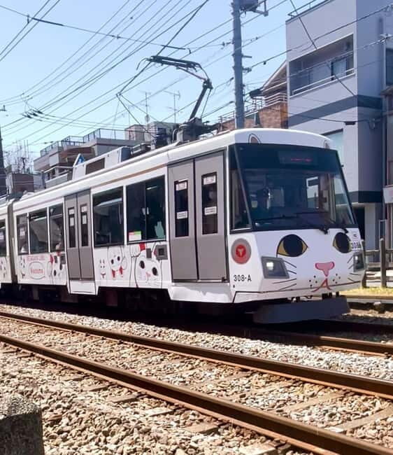 Tokyo: Gotokuji Cat Temple, Shinjuku Cat Cafe & 3D Cat Tour - How the 150 minutes feels in real life