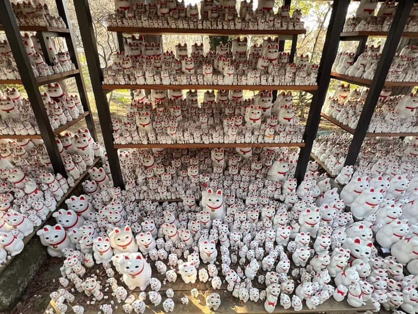 Tokyo: Gotokuji Culture Walk & Lucky Cat Temple Experience - Should You Book This Tokyo Lucky Cat Experience?