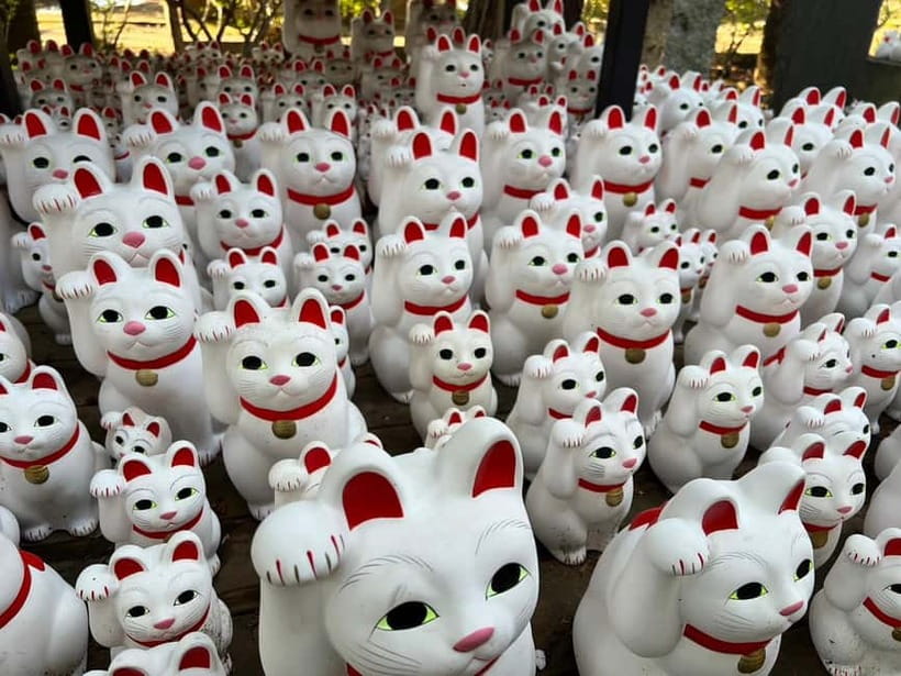 Tokyo: Gotokuji Culture Walk & Lucky Cat Temple Experience - Temple Photo Stop: Catch the Cats Before You Learn the Story