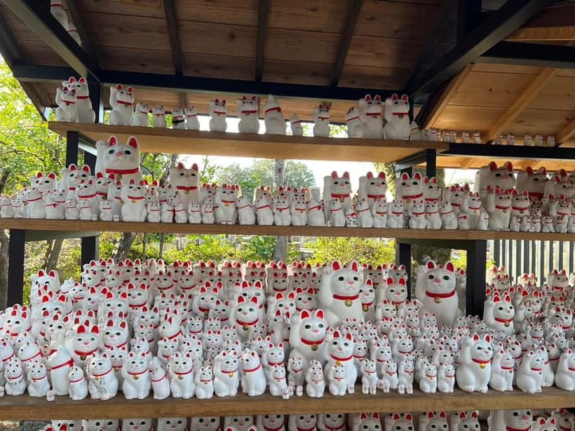 Tokyo: Gotokuji Culture Walk & Lucky Cat Temple Experience - Price and Value: What $47 Buys in 90 Minutes