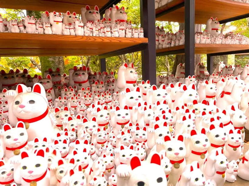 Tokyo: Gotokuji Lucky Cat Temple & Harajuku Cat Cafe Tour - Meeting at MOCHA Harajuku and settling into the right mood