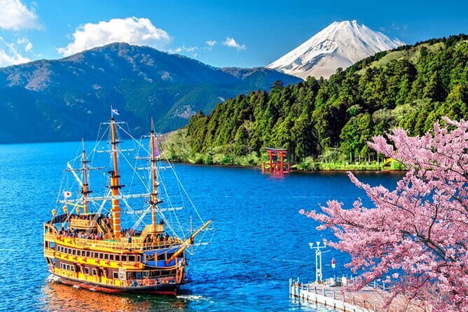 Tokyo: Gotokuji Lucky Cat Temple, Shinjuku Cat Cafe, 3D Giant Cat - Stop 3: The Gotokuji Shopping Street Maneki-neko hunt