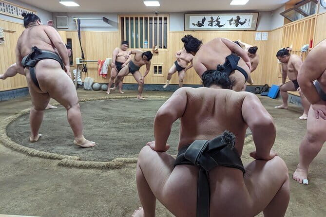 Tokyo: Gotokuji Lucky Cat Temple, Shinjuku Cat Cafe, 3D Giant Cat - Stop 4: Gotokuji Temple and the thousand lucky cats calm-down