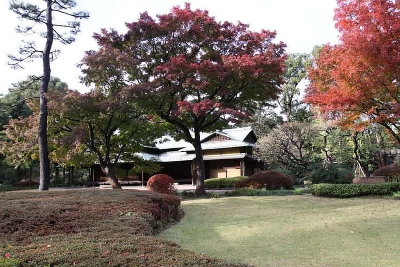 Tokyo: Guided Exploration with a Private Driver - Shibuya Crossing and Ueno Park: quick, high-impact moments