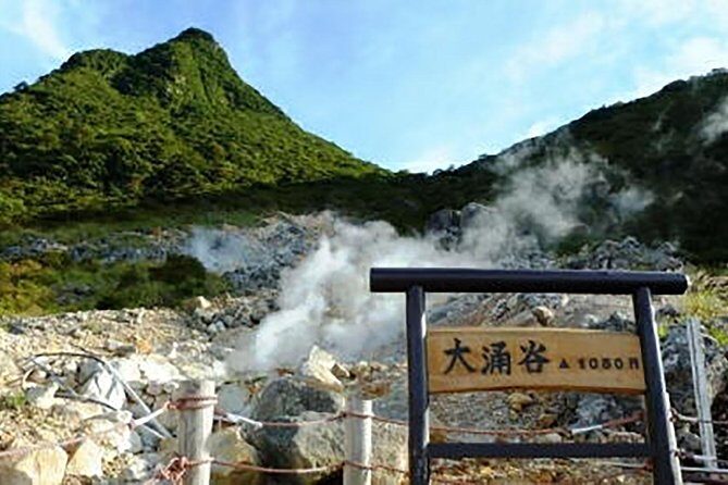 Tokyo: Hakone Fuji Day Tour w/ Cruise, Cable Car, Volcano - Owakudani volcano area: sulfur, steam, and the story behind it