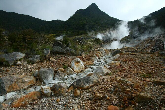 Tokyo Hakone : Mt.Fuji, Owakudani, Open Air Museum, Hakone Shrine - Key Points That Matter