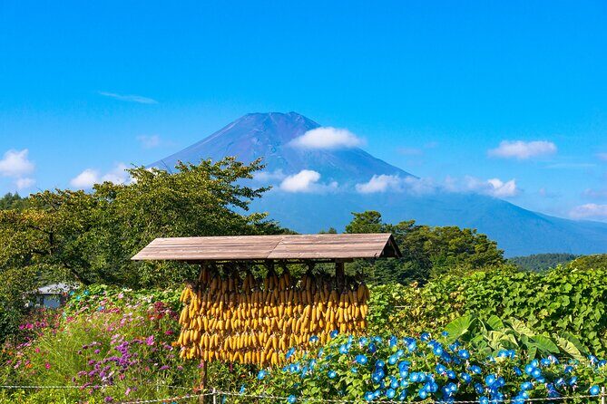 Tokyo Hakone : Mt.Fuji, Owakudani, Open Air Museum, Hakone Shrine - Lake Ashi and Hakone Shrine: The Torii of Peace Up Close