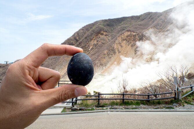 Tokyo Hakone : Mt.Fuji, Owakudani, Open Air Museum, Hakone Shrine - Owakudani Volcanic Valley: Steam, Sulfur, and Mt. Fuji Chances
