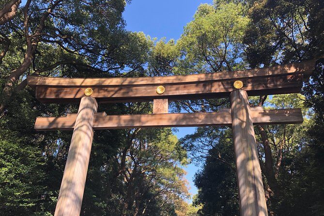 Tokyo Half-day Customized Private Tour - What You’re Really Paying For: A Private Guide + a Custom 4-Hour Plan