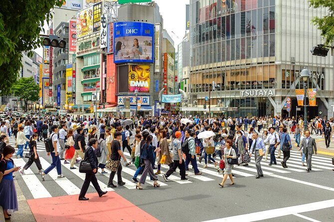 Tokyo Half-day Customized Private Tour - Should You Book It? My Decision Guide