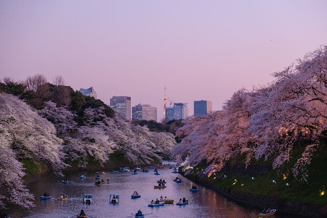 Tokyo Half-day Customized Private Tour - FAQ
