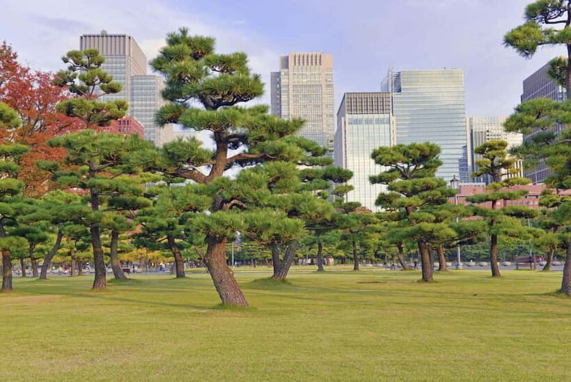 Tokyo: Half-Day Morning Small Group Tour - A Quick Reliability Reality Check You Should Take Seriously