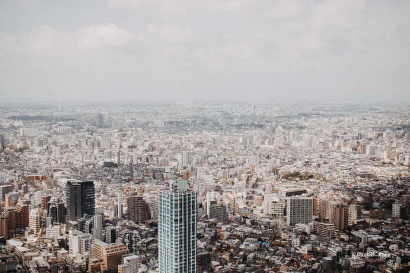 Tokyo, half day : private tour with an expert ! - Key highlights at a glance