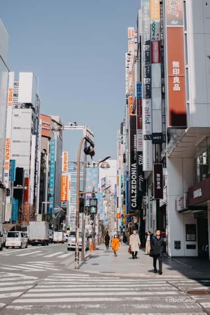 Tokyo, half day : private tour with an expert ! - Why a 4-hour private Tokyo route makes sense
