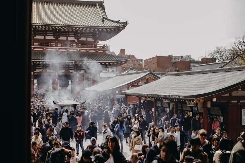 Tokyo, half day : private tour with an expert ! - Meiji Shrine: the forest effect you can actually feel