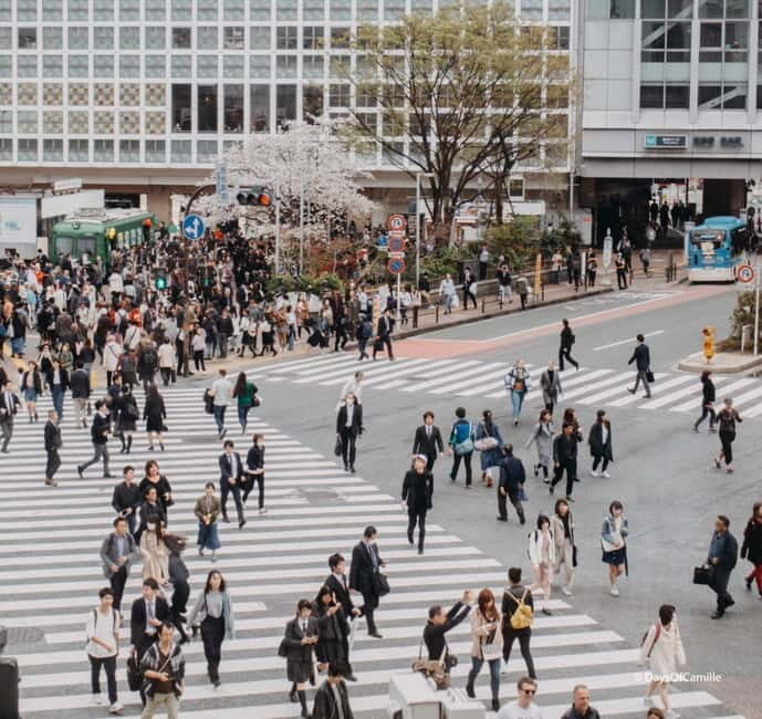 Tokyo, half day : private tour with an expert ! - Pickup in Asakusa: how the tour stays low-stress