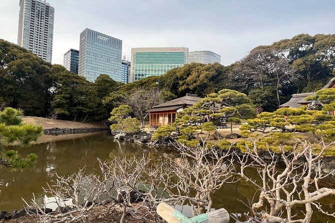 Tokyo: Hama-rikyu Gardens tour with Japanese Tea & Sweets - Key Things I’d Prioritize in This Tour